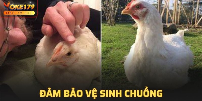 Biết cách quản lý vệ sinh thật tốt