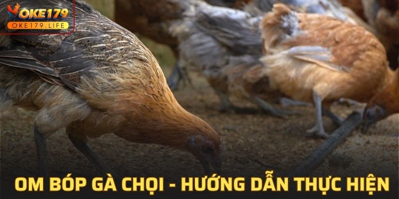 Bí quyết om bóp gà chọi - Hướng dẫn thực hiện