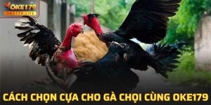 Cách Chọn Cựa Cho Gà Chọi