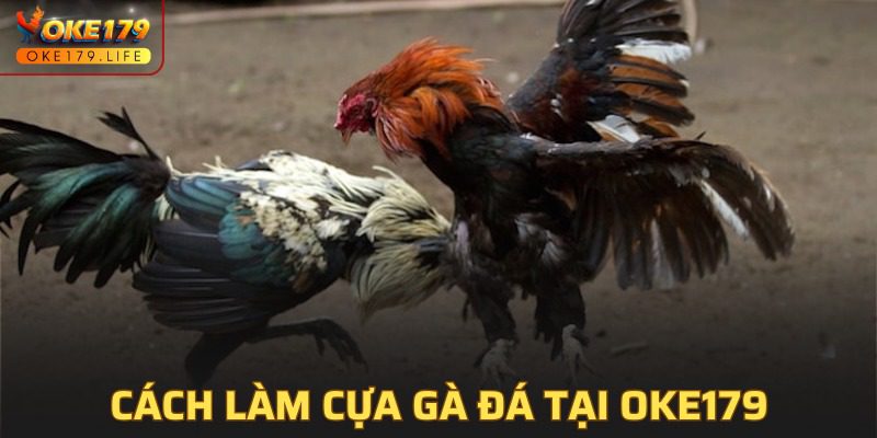 Cách Làm Cựa Gà Đá