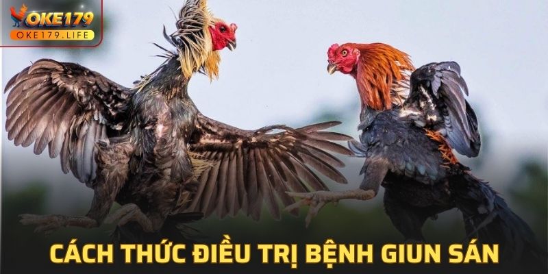 Hướng dẫn cách thức điều trị bệnh giun sán