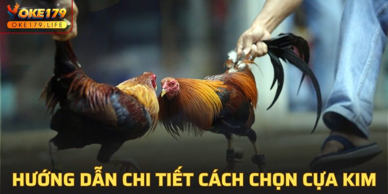 Chỉ dẫn các bước chọn cựa cho các chiến binh cùng OKE179