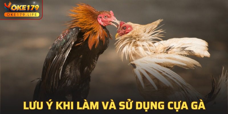 Chú ý quan trọng khi làm vũ khí gà và sử dụng chúng