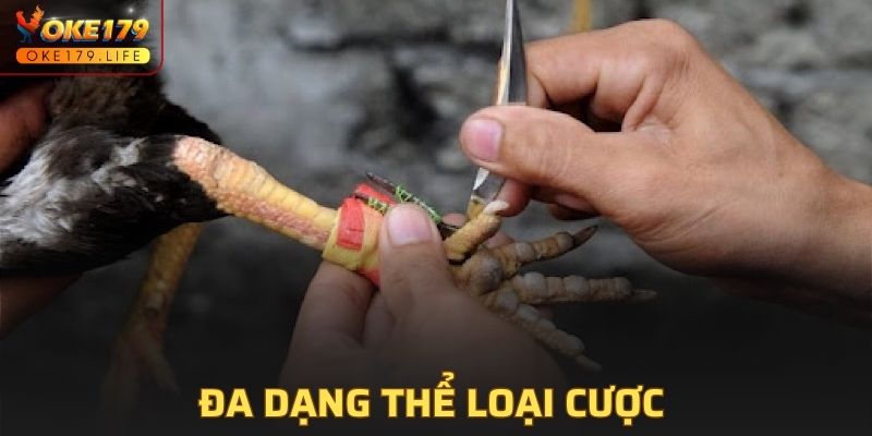 Đa dạng thể loại cược