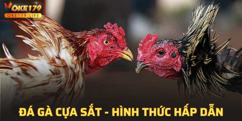 Đá Gà Cựa Sắt