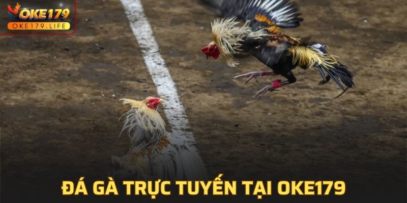 Đá Gà Trực Tuyến