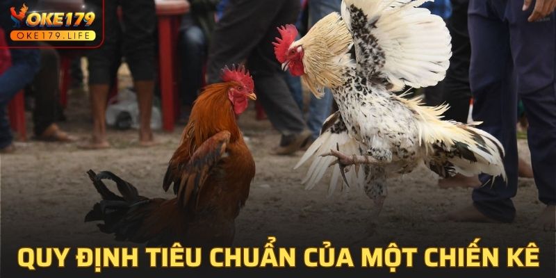 Quy định tiêu chuẩn của một chiến kê