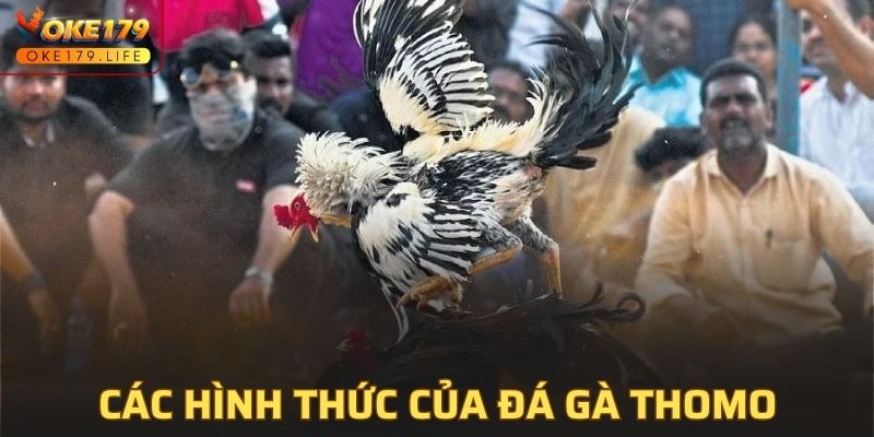 Các hình thức của đá gà Thomo