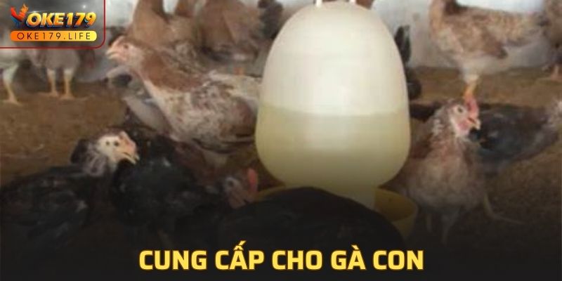 Giai đoạn có chế độ dinh dưỡng đặc biệt