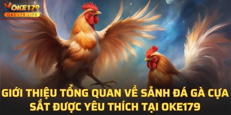 Giới thiệu tổng quan về sảnh đá gà cựa sắt được yêu thích tại OKE179