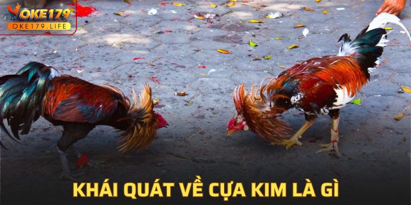 Khám phá thông tin chuẩn về vũ khí của gà chiến