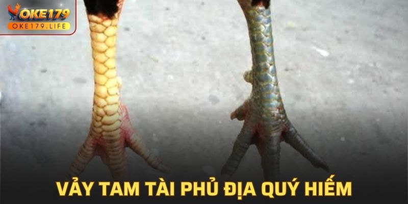 Kiểu dáng vảy tam tài phủ địa