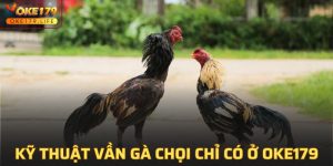 Kỹ Thuật Vần Gà Chọi