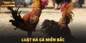 Luật Đá Gà Miền Bắc