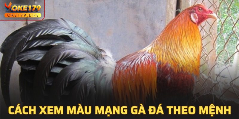 Mệnh phong thủy riêng biệt của từng màu gà