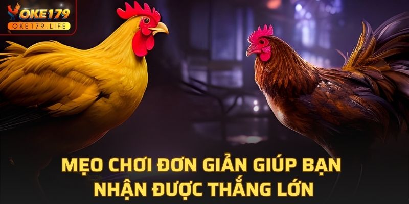 Mẹo chơi đơn giản giúp bạn nhận được thắng lớn