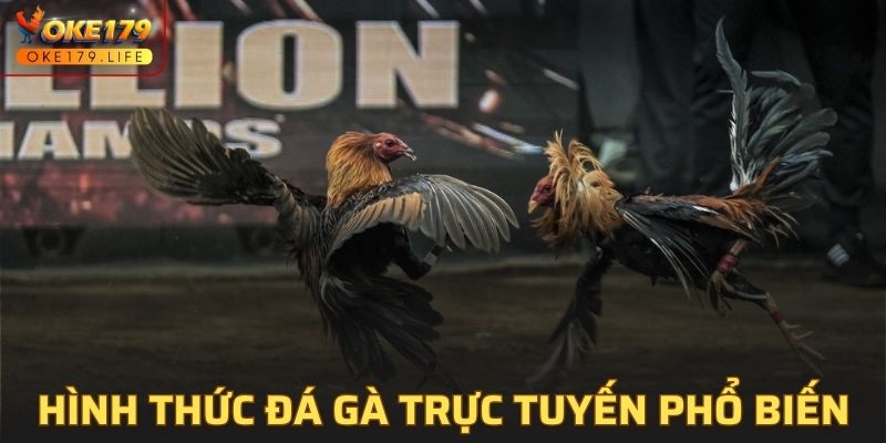 Một vài hình thức đá gà trực tuyến phổ biến tại OKE179