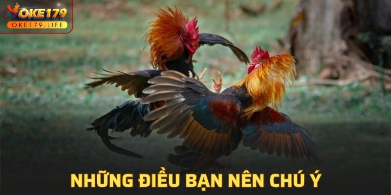 Những điều bạn cần phải chú ý