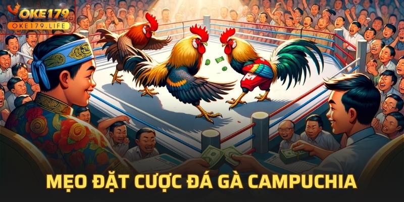 Những mẹo cần biết khi đặt cược đá gà Campuchia