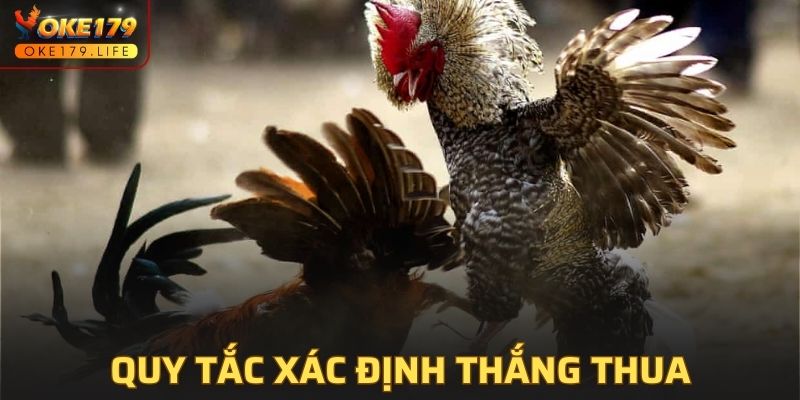 Quy tắc xác định thắng thua trong luật đá gà miền nam