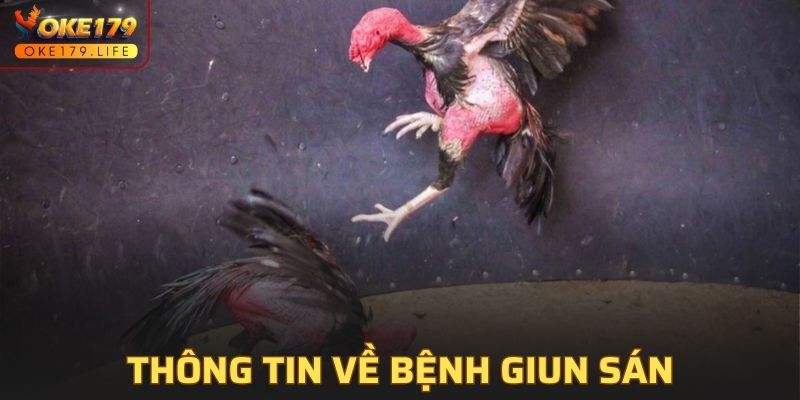 Thông tin về bệnh giun sán và cách điều trị