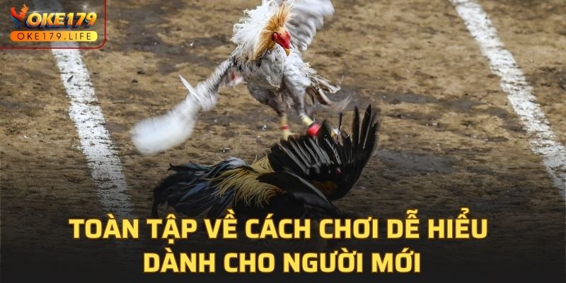 Toàn tập về cách chơi dễ hiểu dành cho người mới