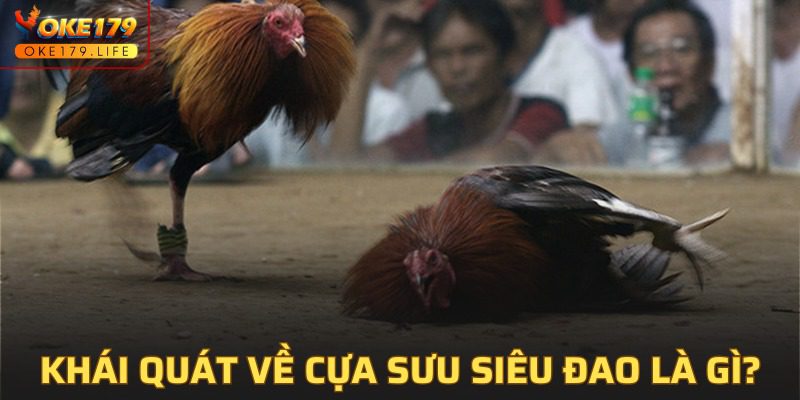 Vài nét chính của của sưu siêu đao mà thành viên cần biết