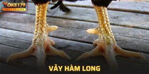 Vảy Hàm Long