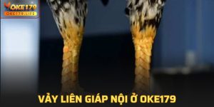 Vảy Liên Giáp Nội