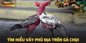 Vảy Phủ Địa