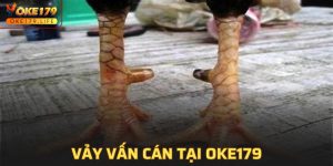 Vảy Vấn Cán