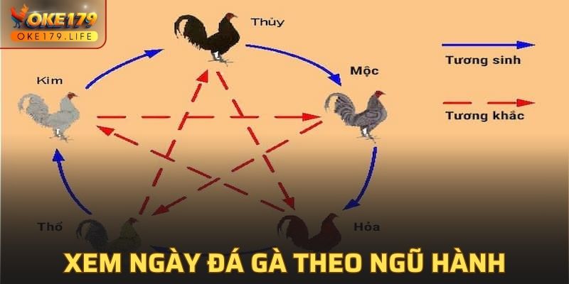 Xem ngày đá gà theo ngũ hành chi tiết