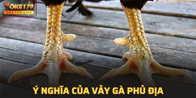 Ý nghĩa đặc biệt của vảy gà phủ địa